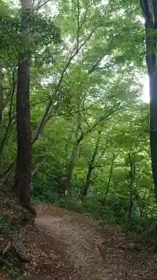 宝登山神社奥宮の周辺