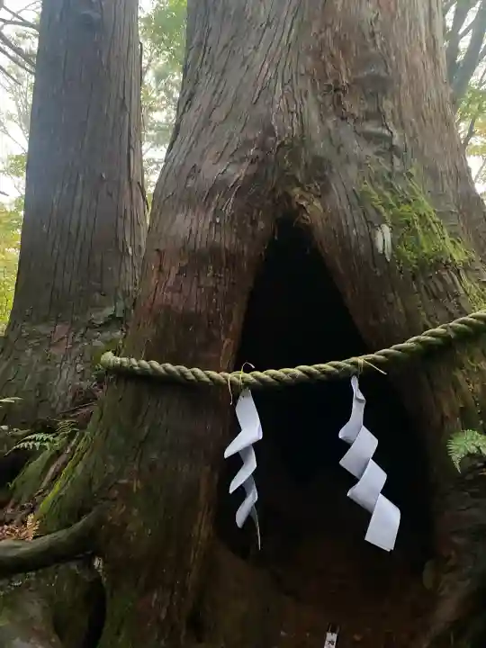 戸隠神社奥社の{uncategorized: "未分類", other: "その他", undefined: "問題あり", building: "その他建物", grave: "お墓", sacred_gate: "鳥居", guardian: "狛犬", statue: "像", buddha: "仏像", history: "歴史", nature: "自然", garden: "庭園", animal: "動物", pagoda: "塔", temizu: "手水舎", mountain_gate: "山門・神門", sanctuary: "本殿・本堂", subordinate: "末社・摂社", art: "芸術", scenery: "景色", jizo: "地蔵", ema: "絵馬", goshuin: "御朱印", omikuji: "おみくじ", items: "授与品その他", amulet: "お守り", goshuincho: "御朱印帳", eats: "食事", festival: "お祭り", votive_dance: "神楽", shichigosan: "七五三参", wedding: "結婚式", experience: "体験その他", initially: "初詣", around: "周辺", anti_infection: "感染症対策"}