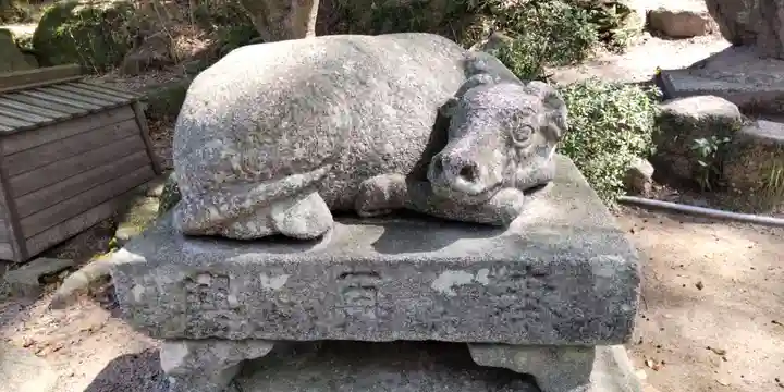 太宰府天満宮(福岡県)