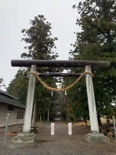 桜町二宮神社の鳥居