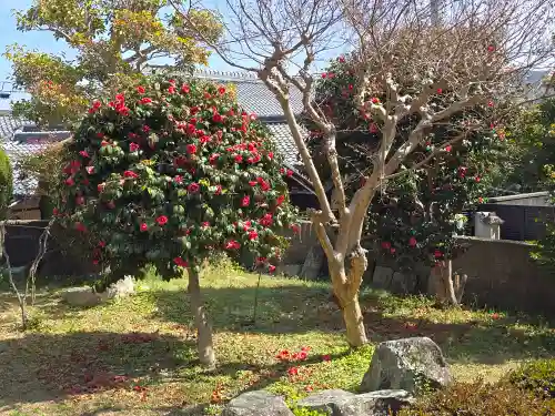 光明寺(大阪府)