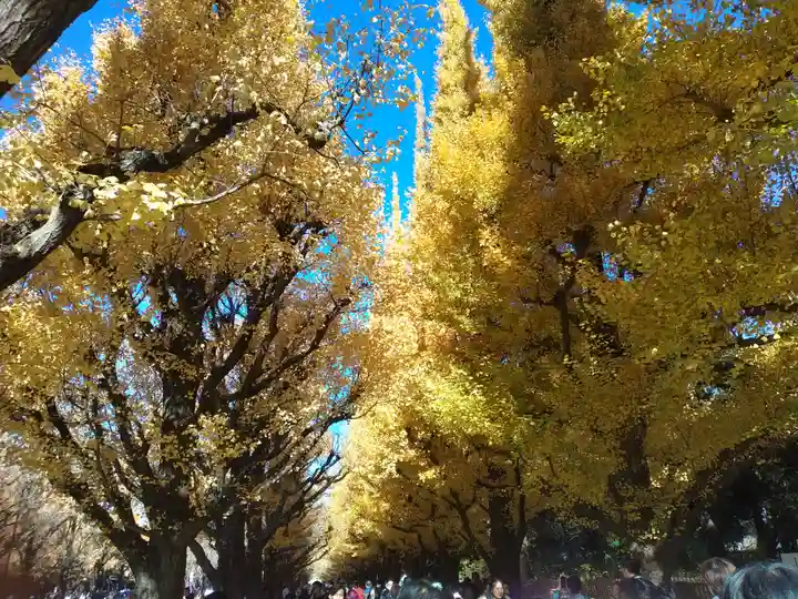 青山熊野神社(東京都)