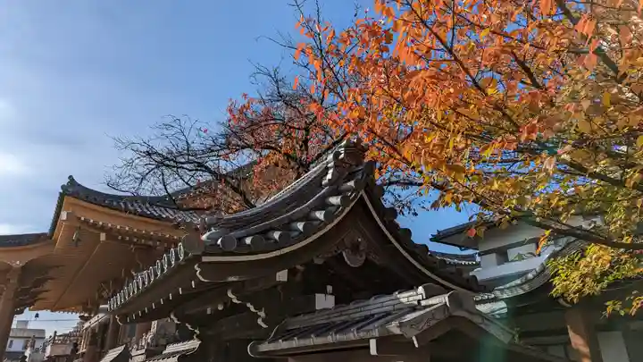 壬生寺(京都府)