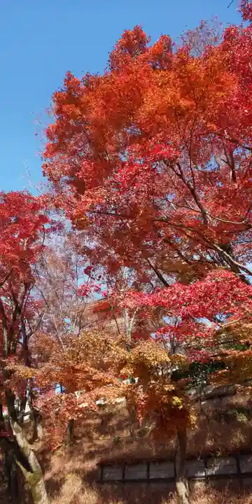 清水寺(京都府)