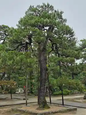 智恩寺(京都府)