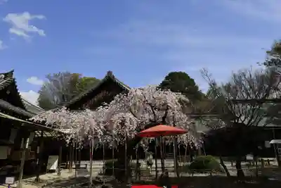 水無瀬神宮(大阪府)