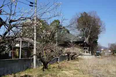 定林寺のその他建物