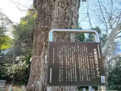 芝東照宮の歴史