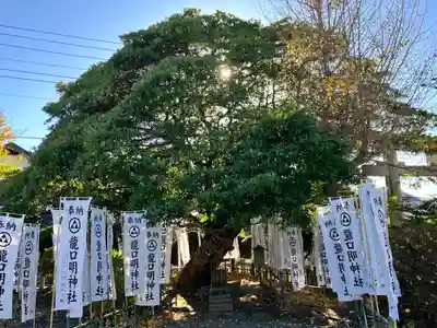 龍口明神社(神奈川県)