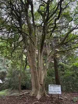 虚空蔵堂(千葉県)
