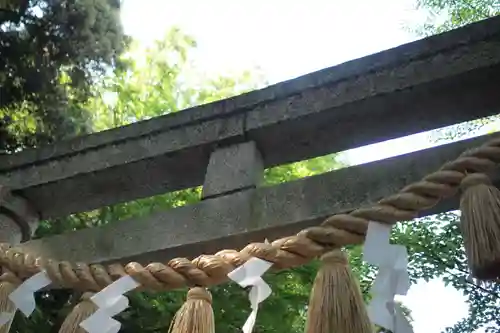 泉神社の鳥居