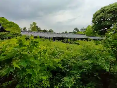 東福禅寺（東福寺）(京都府)