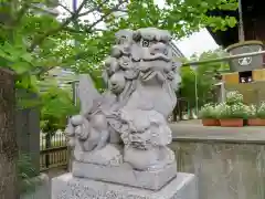 亀戸浅間神社の狛犬