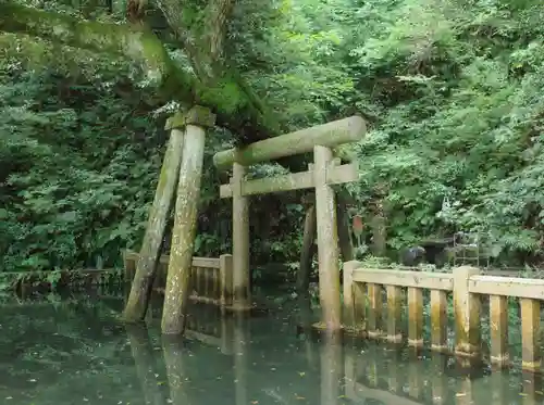 鹿島神宮の鳥居