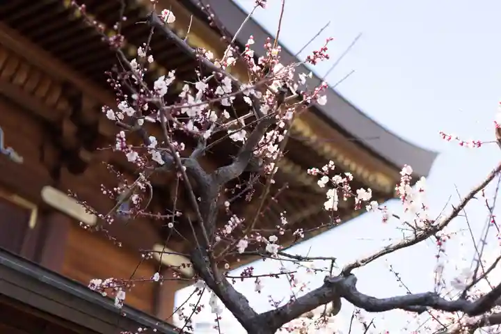 湯島天満宮(東京都)