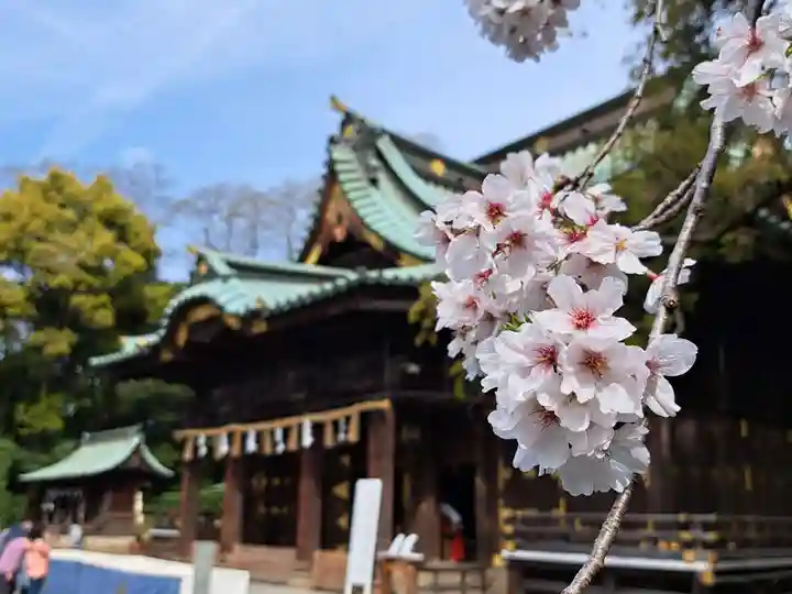 三嶋大社(静岡県)