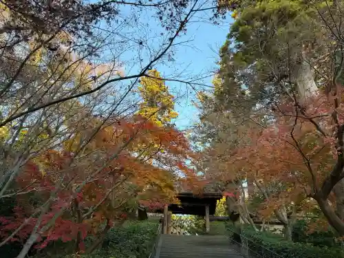 円覚寺の{uncategorized: "未分類", other: "その他", undefined: "問題あり", building: "その他建物", grave: "お墓", sacred_gate: "鳥居", guardian: "狛犬", statue: "像", buddha: "仏像", history: "歴史", nature: "自然", garden: "庭園", animal: "動物", pagoda: "塔", temizu: "手水舎", mountain_gate: "山門・神門", sanctuary: "本殿・本堂", subordinate: "末社・摂社", art: "芸術", scenery: "景色", jizo: "地蔵", ema: "絵馬", goshuin: "御朱印", omikuji: "おみくじ", items: "授与品その他", amulet: "お守り", goshuincho: "御朱印帳", eats: "食事", festival: "お祭り", votive_dance: "神楽", shichigosan: "七五三参", wedding: "結婚式", experience: "体験その他", initially: "初詣", around: "周辺", anti_infection: "感染症対策"}