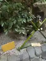 狭井坐大神荒魂神社(狭井神社)(奈良県)