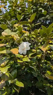 賀茂御祖神社（下鴨神社）(京都府)