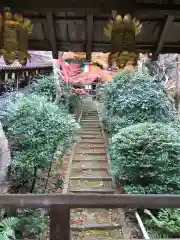 光明寺（粟生光明寺）の建物その他