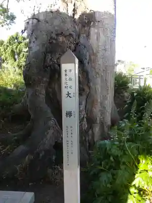 護王姫社の{uncategorized: "未分類", other: "その他", undefined: "問題あり", building: "その他建物", grave: "お墓", sacred_gate: "鳥居", guardian: "狛犬", statue: "像", buddha: "仏像", history: "歴史", nature: "自然", garden: "庭園", animal: "動物", pagoda: "塔", temizu: "手水舎", mountain_gate: "山門・神門", sanctuary: "本殿・本堂", subordinate: "末社・摂社", art: "芸術", scenery: "景色", jizo: "地蔵", ema: "絵馬", goshuin: "御朱印", omikuji: "おみくじ", items: "授与品その他", amulet: "お守り", goshuincho: "御朱印帳", eats: "食事", festival: "お祭り", votive_dance: "神楽", shichigosan: "七五三参", wedding: "結婚式", experience: "体験その他", initially: "初詣", around: "周辺", anti_infection: "感染症対策"}