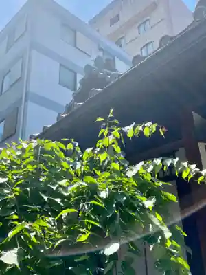 龍雲院(京都府)