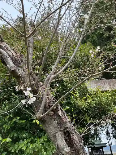 恩田社(愛知県)
