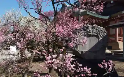 北野天満宮(京都府)