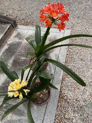 法幢寺(岐阜県)