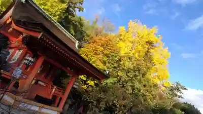 北野天満宮(京都府)