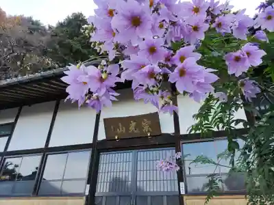 玉巌寺の本殿・本堂