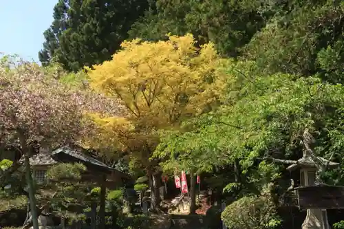 鹿島大神宮の景色