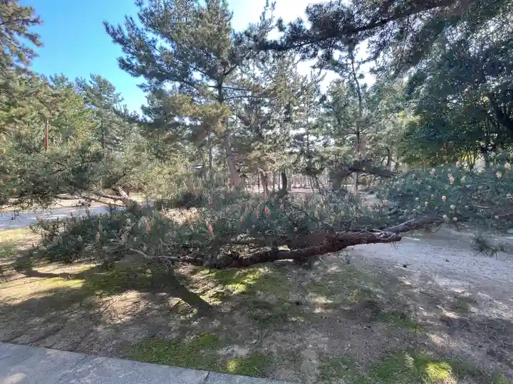 石清水神社(香川県)