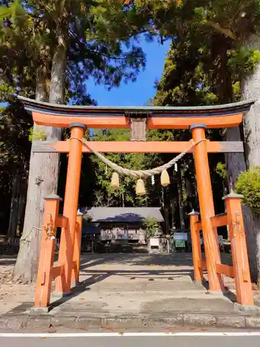 戸隠神社の鳥居