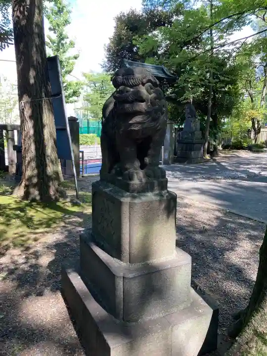 富岡八幡宮の狛犬