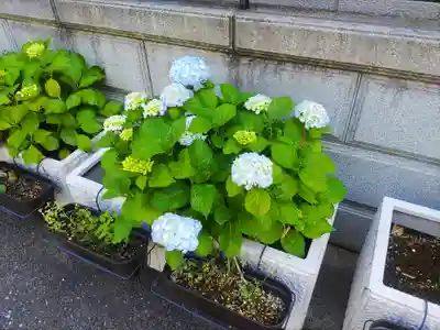 長國寺(東京都)