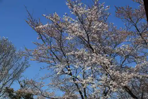 大鏑神社の周辺