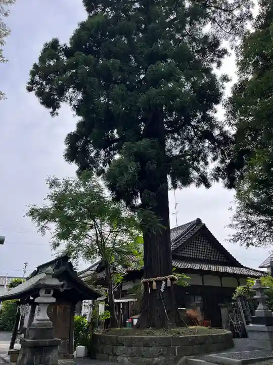國魂神社の本殿・本堂