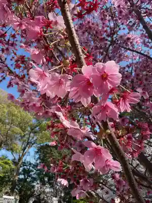富部神社(愛知県)