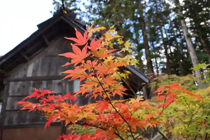 長屋神社の自然