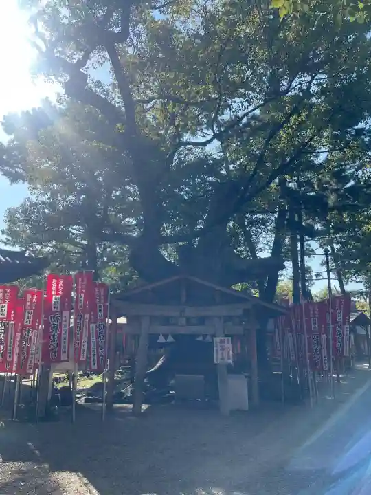 住吉大社(大阪府)