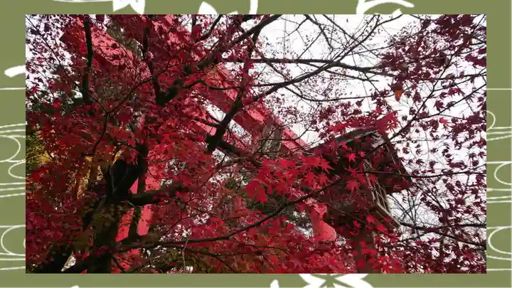 冠稲荷神社(群馬県)