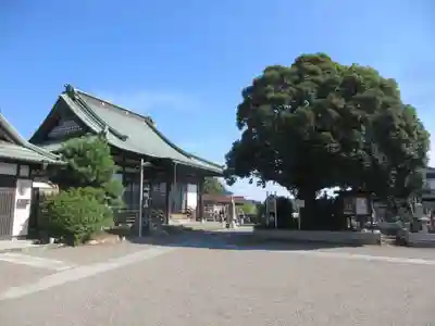 星福寺(埼玉県)