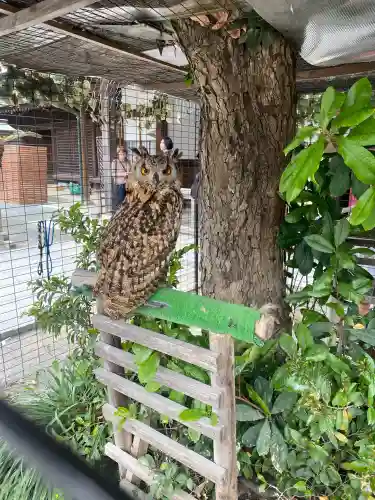 宮地嶽神社(福岡県)