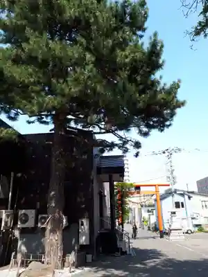 手稲神社のその他建物