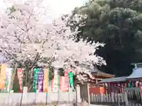 大縣神社の景色