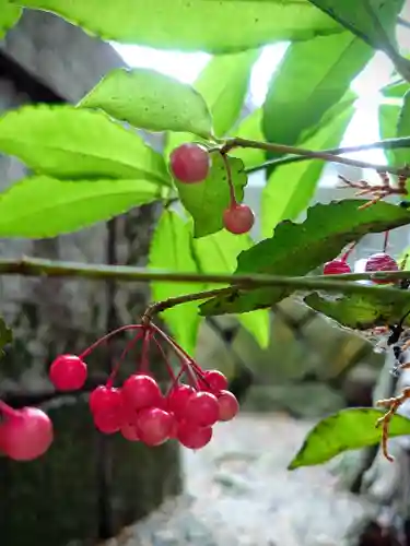 立志神社(滋賀県)