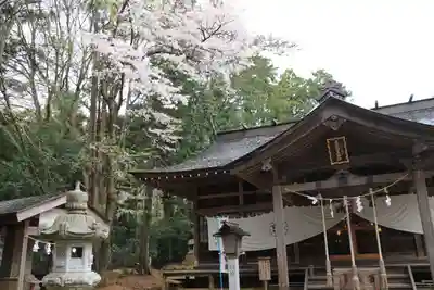 王宮伊豆神社の本殿・本堂