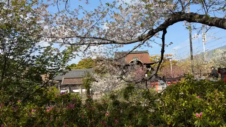 六孫王神社(京都府)
