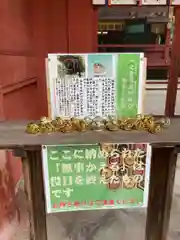 一之宮貫前神社(群馬県)